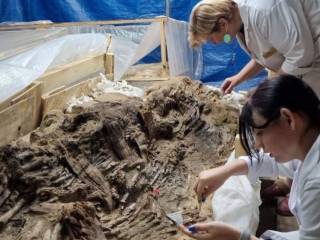 Павлодарские археологи реконструировали уникальный артефакт