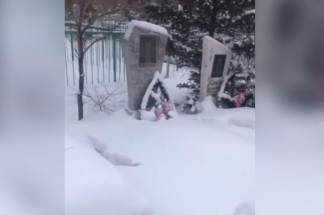 Вандалы разворовывают кладбище в Павлодаре