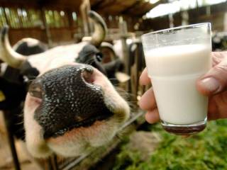 Крупную молочно-товарную ферму строят в Павлодарской области