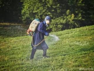 В Павлодаре продолжается барьерная обработка против комаров на Южном водозаборе