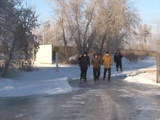 Каток на дачах: в Павлодаре поврежденная канализация заливает садоводство