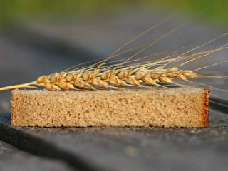 «Зерна осталось на 2—3 недели»: Казахстан может столкнуться с дефицитом хлеба