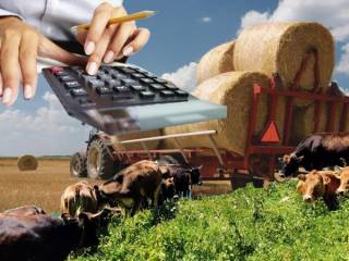 От фермеров Павлодарской области требуют вернуть незаконно полученные субсидии по программе «Сыбаға»