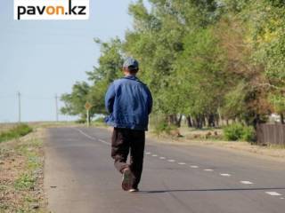 Семейные обстоятельства и проблемы при трудоустройстве: почему не все переселенцы остаются в Павлодарской области