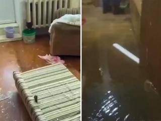 Жители Экибастуза покидают свои квартиры, затопленные кипятком