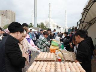 Производство яиц снизилось на 25 процентов в Казахстане
