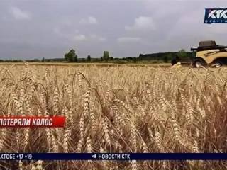 Экспорт зерна из Казахстана в Китай бьет рекорды