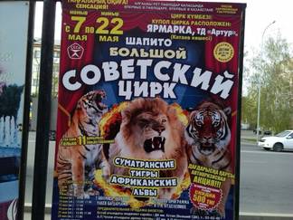 Павлодарские защитники животных возмущены предстоящим приездом «Советского цирка»
