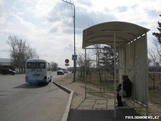 В Павлодаре обновили зебру на опасном для пешеходов участке