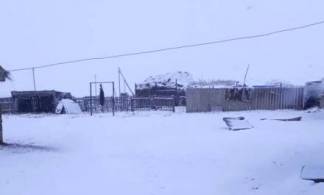 В Баянаульском районе выпал снег