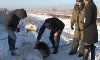 В Павлодаре более 2000 дачных участков весной могут остаться без воды
