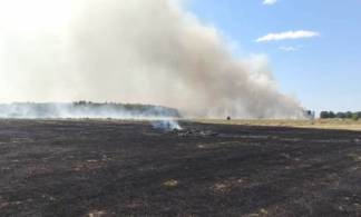 Пожар с сенокосных угодий перекинулся на лес в Павлодарской области