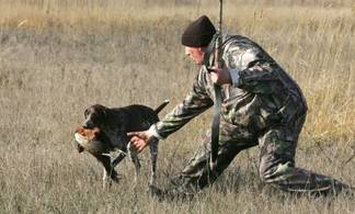 Охота на дичь откроется с 7 сентября в Павлодарской области