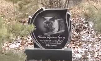 Незаконное кладбище домашних животных обнаружили в Павлодаре