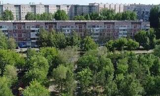 В Павлодаре началась обрезка аварийных деревьев во дворах