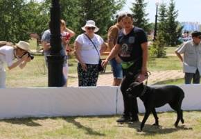 В Павлодаре прошла выставка собак