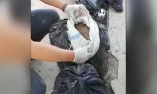 Служебная собака унюхала семь зарытых мешков с марихуаной