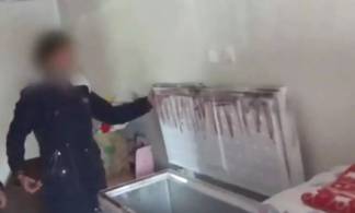 Мать задушила двухлетнего ребенка и хранила труп в холодильнике два месяца в Уштобе