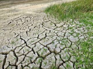 «Воды не хватает!» - заявляют в крестьянских хозяйствах ЗКО