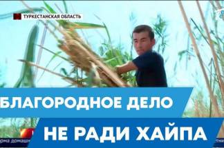 Тюки сена отправил житель Шымкента голодающим животным на Западе Казахстана