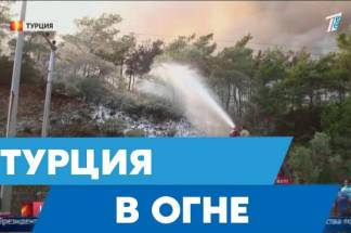 Лесные пожары в Турции: На помощь пришла казахстанская молодёжь