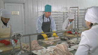 В Китае растет спрос на рыбные изделия из Казахстана