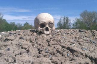 В степи под Карагандой нашли человеческий скелет
