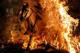 33 лошади погибли в огне на трассе «Самара-Шымкент»