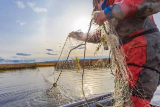 Не рыбный день: Против запрета на ловлю сетями выступили рыбаки