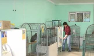 Животные гниют заживо: контактный зоопарк из России шокировал кызылординцев