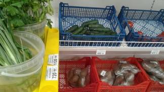 В Павлодаре продается зеленый лук с укропом по тысяче тенге