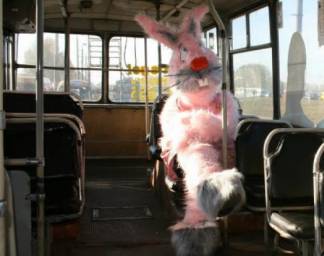 В одном автобусе по 20 безбилетников! Количество «зайцев» резко возросло в столице!