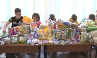 Павлодарские школьники собрали несколько десятков килограммов корма для питомцев единственного в регионе приюта