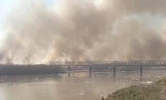 Подсчитан ущерб от лесных пожаров в Павлодарской области