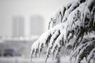 Конец марта, а погода в Казахстане продолжает преподносить зимние сюрпризы