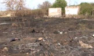 До 200 гектаров увеличилась площадь сгоревших дач в Павлодаре