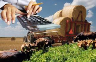 От фермеров Павлодарской области требуют вернуть незаконно полученные субсидии по программе «Сыбаға»