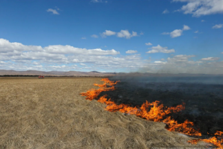 В Карагандинской области горят 4 тысячи гектаров степи!
