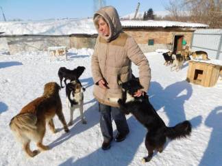 Как живут собаки-инвалиды, которых по решению суда нужно вывезти за пределы Белоусовки?