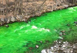 Одна из рек Восточного Казахстана окрасилась в ярко-зелёный цвет