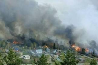 Жители Риддера винят в крупном пожаре местный лесхоз