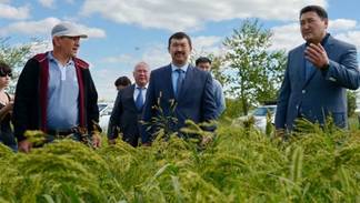 Аким Павлодарской области ознакомился с состоянием соцобъектов и посевами в Успенском районе