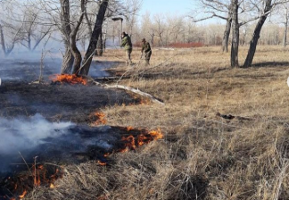 Для определения площади горящей поймы вылетел вертолет в Павлодарской области