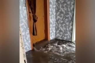 Дворы и дома затопило талыми водами в Павлодарской области