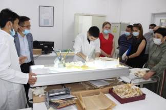Экспонаты и рукописи Баянаульских музеев К. Сатпаева и М. Копеева оцифруют и переведут на казахский