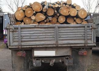 Партию краденого леса задержали в Павлодарской области