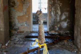 Где в Алматы водятся призраки: повешенная крыса и дух убитой девушки (ФОТО)
