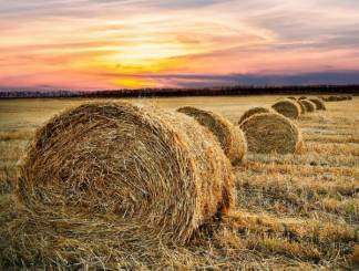 Больше тысячи тонн корма доставлено фермерам Мангистауской области благодаря помощи промышленных предприятий Казахстана