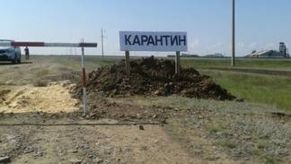 Источником сибирской язвы в Павлодарской области стала почва