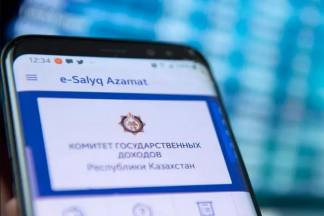 Казахстанцы смогут проверить запрет на выезд через мобильное приложение